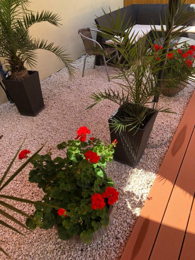 Mosoly Apartman Сегед Екстериор снимка